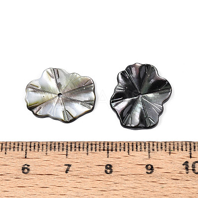 Natural Black Lip Shell Carved Leaf Beads BSHE-T014-31B-1