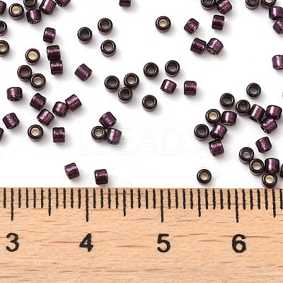 Glass Seed Beads X-SEED-S042-04B-30-1