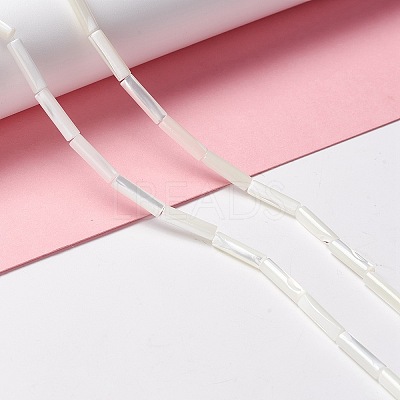 Natural Trochid Shell/Trochus Shell Beads X-SSHEL-O001-26B-1