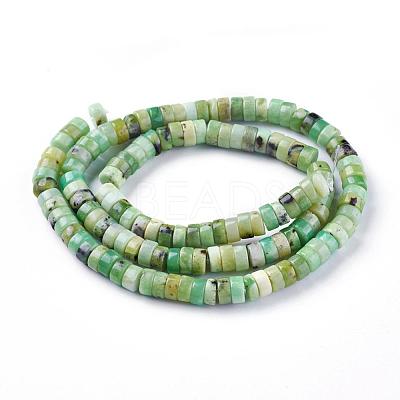 Natural Serpentine Beads Strands G-F612-03-1