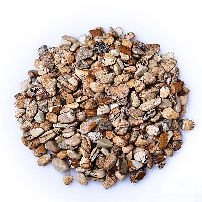 Natural Picture Jasper Tumbled Chips PW-WGA7DCE-23-1