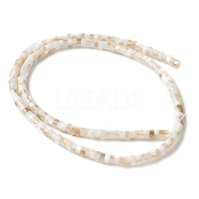 Natural Freshwater Shell Beads Strands X-SSHEL-C013-04A-1