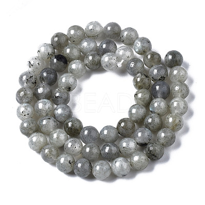 Natural Labradorite Round Beads Strands X-G-S158-6mm-1
