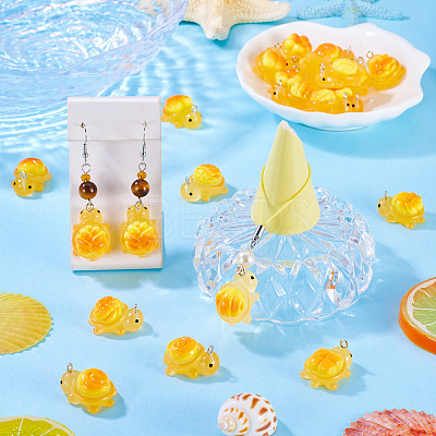20Pcs 10 Styles Transparent Resin Bread-shaped Turtle Pendants RESI-TA0005-24-1