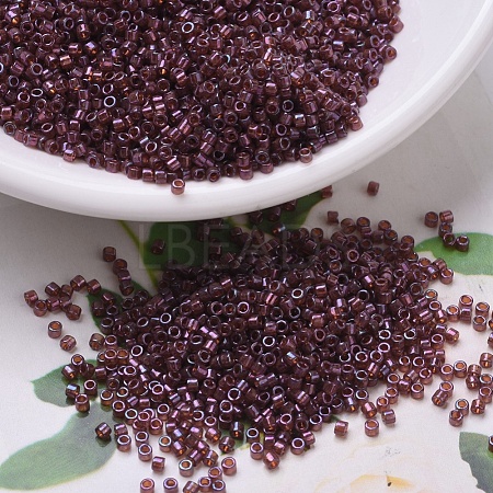 MIYUKI Delica Beads X-SEED-J020-DB0129-1