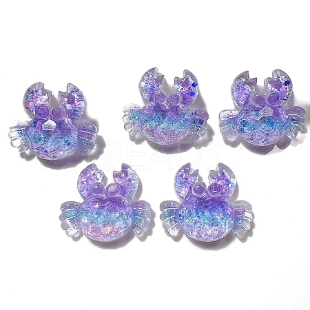 5Pcs Resin Cabochons PW-WG6A867-04-1