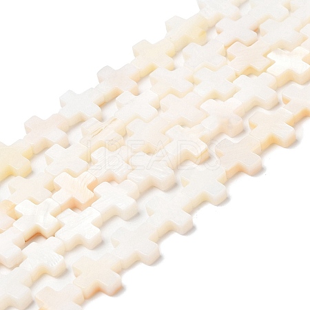 Natural Freshwater Shell Beads Strands SHEL-F007-02-1