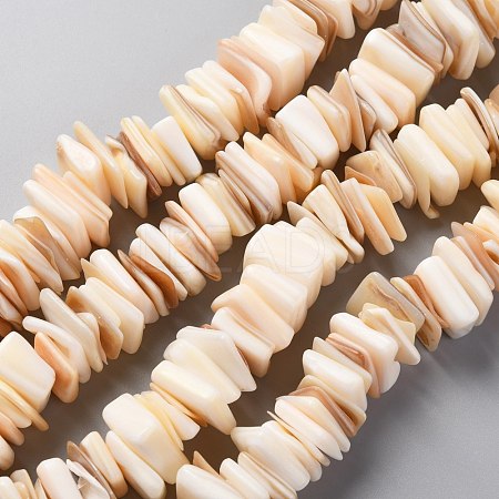 Natural Freshwater Shell Beads Strands SHEL-C001-10A-1
