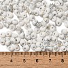 Baking Paint Glass Seed Beads X1-SEED-F006-01A-09-4