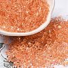 Glass Seed Beads SEED-K009-08B-02-1