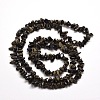 Natural Golden Sheen Obsidian Chip Bead Strands X-G-M205-07-2