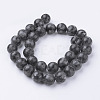 Natural Black Larvikite Bead Strands G-G735-57-12mm-2