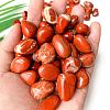 Natural Red Jasper Healing Stones PW-WGD7FF2-14-1