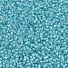 MIYUKI Delica Beads X-SEED-J020-DB1708-3