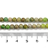 Dyed Natural Regalite/Imperial Jasper/Sea Sediment Jasper Beads Strands G-B124-C04-06-4