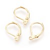 304 Stainless Steel Leverback Earrings Findings X-STAS-F188-10G-1