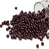 TOHO 6/0 Round Beads SEED-TR06-0502-1