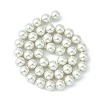 Eco-Friendly Dyed Glass Pearl Round Beads Strands HY-A002-10mm-RB009-3