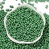 Glass Seed Beads SEED-L011-04A-01-2