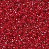 MIYUKI Delica Beads SEED-X0054-DB0214-2