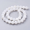Natural Crackle Agate Beads Strands G-G055-10mm-5-2