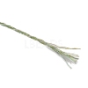 12-Ply Polyester Cords X1-OCOR-TAC0008-33B-2