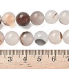 Natural Dendritic Agate Beads Strands G-C011-10mm-01-5