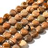 Natural Picture Jasper Beads Strands G-R190-10mm-49-2