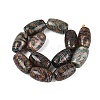 Tibetan Style dZi Beads TDZI-N001-018-2