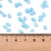Baking Paint Glass Seed Beads SEED-T006-03I-4