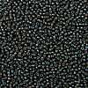 TOHO 8/0 Round Beads X-SEED-TR08-0383-2