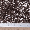 MIYUKI Round Rocailles Beads X-SEED-G007-RR0135-4