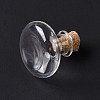 Miniature Glass Bottles GLAA-H019-07A-3