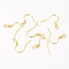 Iron Earring Hooks LS-X-E133-G-2