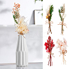 HOBBIESAY 8Pcs 8 Style Mini Dried Flower Bouquet AJEW-HY0001-33-5