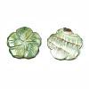 Natural Freshwater Shell Pendants SHEL-S276-164-3