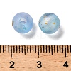 Frosted Transparent Acrylic Beads OACR-F013-13D-3