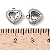 304 Stainless Steel Micro Pave Cubic Zirconia Charms STAS-S131-17P-04-3