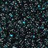 Glass Seed Beads SEED-L011-02A-06-3