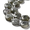 Natural Labradorite Beads Strands G-NH0004-001-4