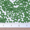MIYUKI Round Rocailles Beads X-SEED-G007-RR0411-4
