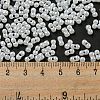 Glass Seed Beads SEED-K009-02B-24-4