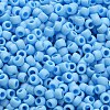 TOHO 6/0 Round Beads X-SEED-TR06-0403F-4