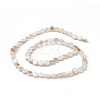 AB Color Plated Natural Freshwater Shell Beads Strands X-BSHE-G033-04-2