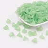 Transparent Acrylic Beads PL622-C08-3