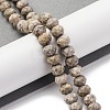 Natural Conch Fossil Beads Strands G-K380-A41-01-2
