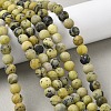 Natural Yellow Turquoise(Jasper) Beads Strands G-H245-02B-5