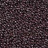 Glass Seed Beads SEED-A012-3mm-126-2