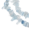 Natural Aquamarine Chips Beads Strands G-D0002-A02-6