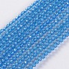 Glass Beads Strands EGLA-E057-02B-09-1